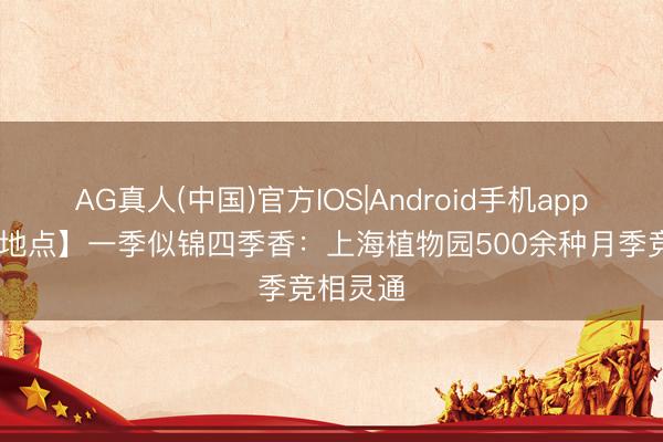 AG真人(中国)官方IOS|Android手机app下载 【地点】一季似锦四季香:上海植物园500余种月季竞相灵通