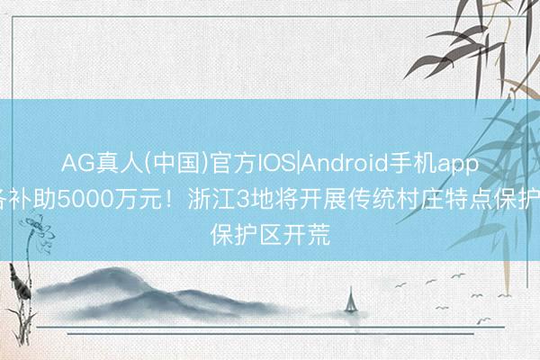 AG真人(中国)官方IOS|Android手机app下载 各补助5000万元！浙江3地将开展传统村庄特点保护区开荒
