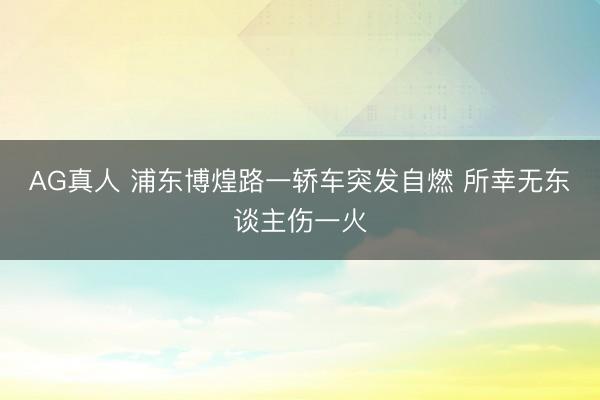 AG真人 浦东博煌路一轿车突发自燃 所幸无东谈主伤一火