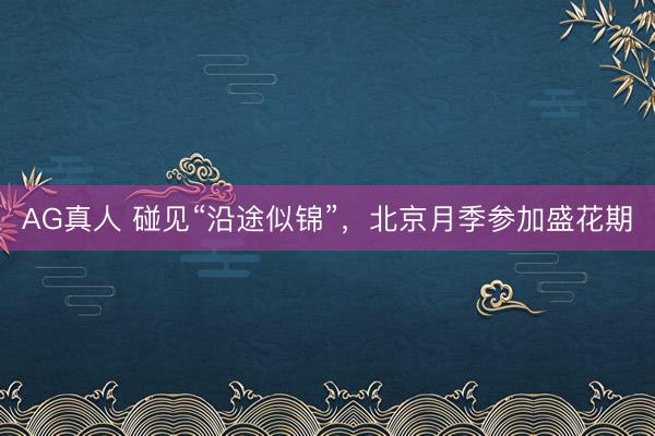 AG真人 碰见“沿途似锦”，<a href=