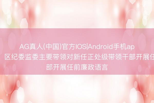 AG真人(中国)官方IOS|Android手机app下载 房山：区纪委监委主要带领对新任正处级带领干部开展任前廉政语言