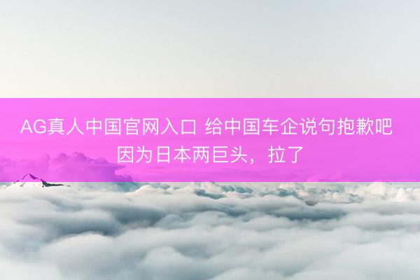 AG真人中国官网入口 给中国车企说句抱歉吧 因为日本两巨头，拉了