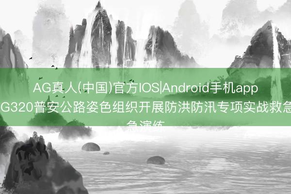 AG真人(中国)官方IOS|Android手机app下载 G320普安公路姿色组织开展防洪防汛专项实战救急演练