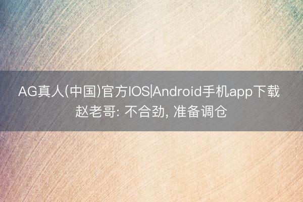 AG真人(中国)官方IOS|Android手机app下载 赵老哥: 不合劲， 准备调仓
