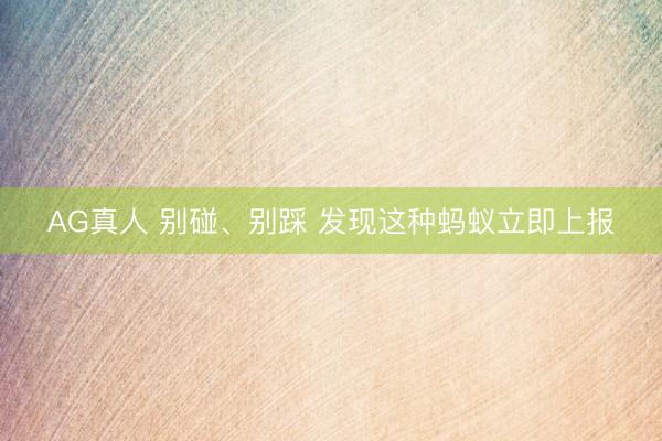 AG真人 别碰、别踩 发现这种蚂蚁立即上报