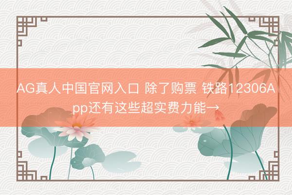 AG真人中国官网入口 除了购票 铁路12306App还有这些超实费力能→